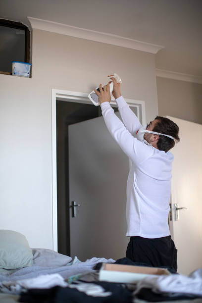 Best Commercial Mold Inspection  in Doctor Phillips, FL
