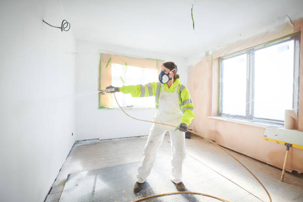 Professional Mold Removal in Doctor Phillips, FL