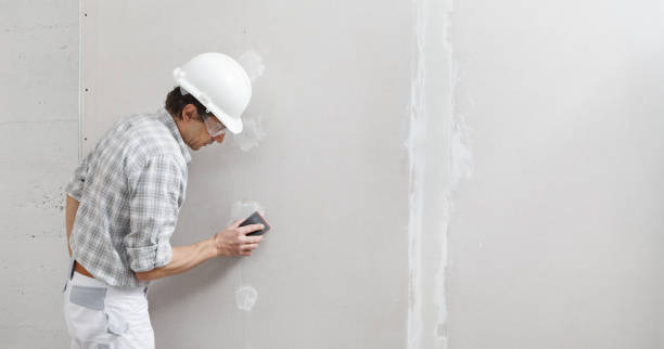 Best Emergency Mold Remediation  in Doctor Phillips, FL