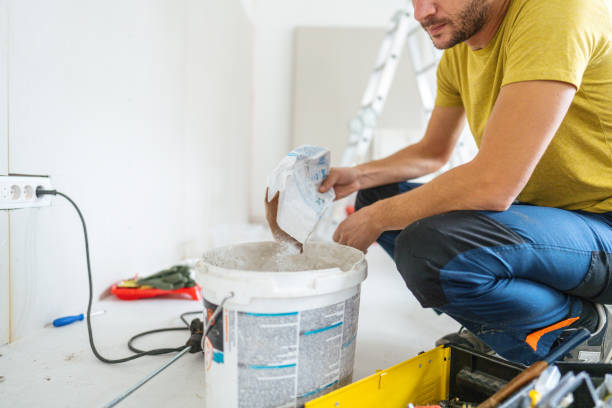Best Asbestos and Lead Testing During Mold Inspection  in Doctor Phillips, FL
