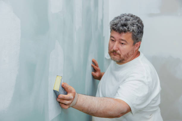 Best Air Quality Testing for Mold Spores  in Doctor Phillips, FL