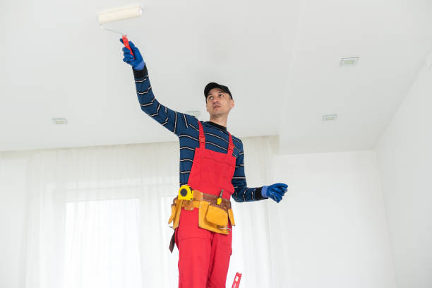  Doctor Phillips, FL Mold Removal Pros