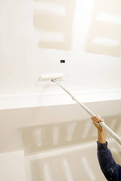 Best Airborne Mold Testing  in Doctor Phillips, FL