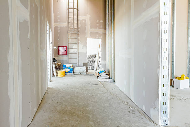Best Comprehensive Air Testing for Mold Contaminants  in Doctor Phillips, FL